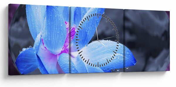 Obraz kvetu v detaile (s hodinami) (90x30 cm)