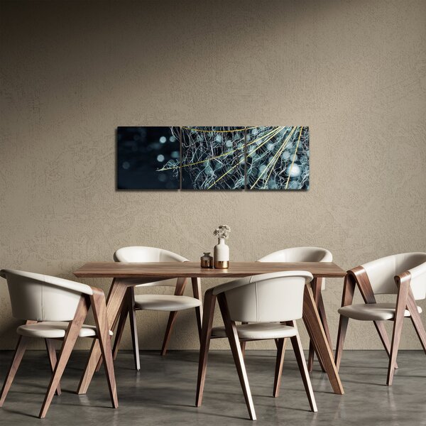 Obraz -Kvet s pavučinou (s hodinami) (90x30 cm)