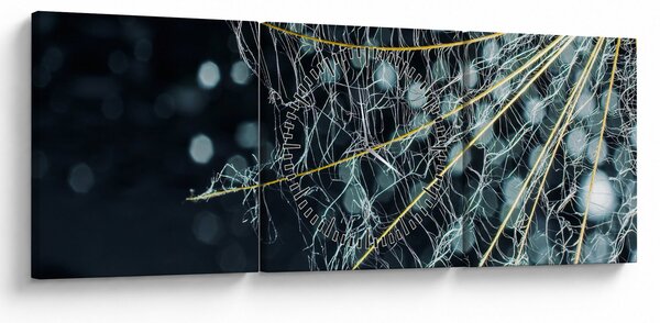 Obraz -Kvet s pavučinou (s hodinami) (90x30 cm)