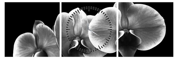 Obraz kvetu orchidey (s hodinami) (90x30 cm)