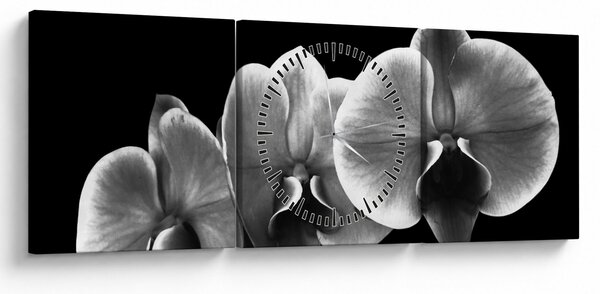 Obraz kvetu orchidey (s hodinami) (90x30 cm)