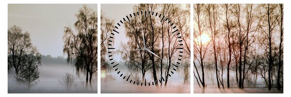 Obraz - Ranná sychravosť (s hodinami) (90x30 cm)