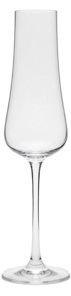 BOHEMIA IDUNA POHÁR NA ŠAMPANSKÉ 250ML SADA 6KS