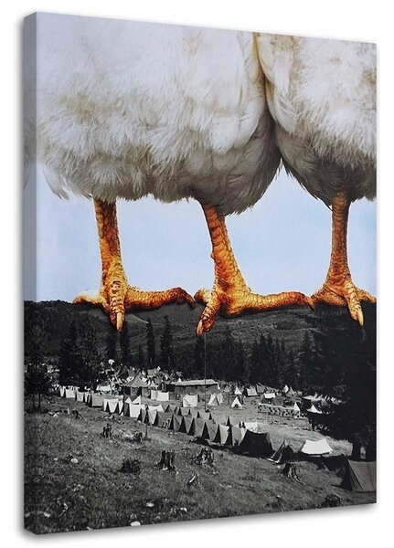 Obraz Sliepky stojace na horách - Lili Chartrand Veľkosť: 40 x 60 cm, Prevedenie: Obraz na plátne