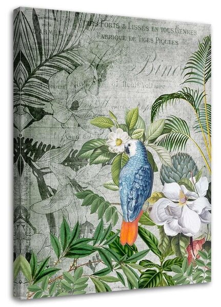 Obraz Vtáčie kráľovstvo - Andrea Haase Veľkosť: 40 x 60 cm, Prevedenie: Obraz na plátne