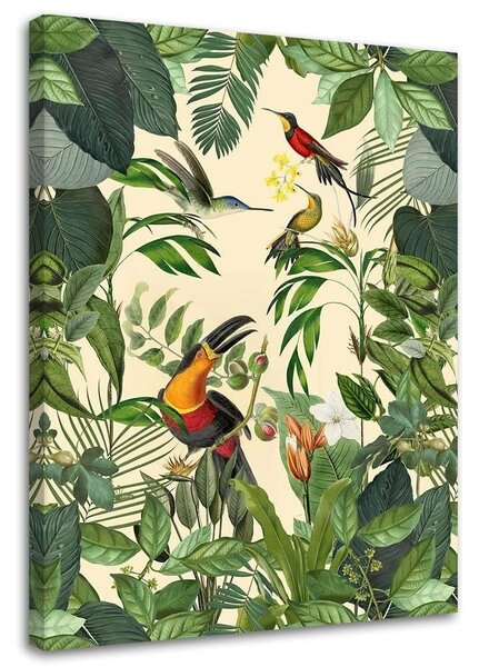 Obraz Tropický tukan - Andrea Haase Veľkosť: 40 x 60 cm, Prevedenie: Obraz na plátne