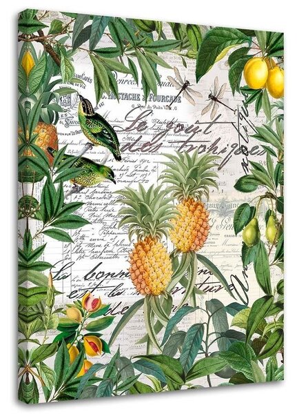 Obraz Tropické ovocie a kaligrafia - Andrea Haase Veľkosť: 40 x 60 cm, Prevedenie: Obraz na plátne
