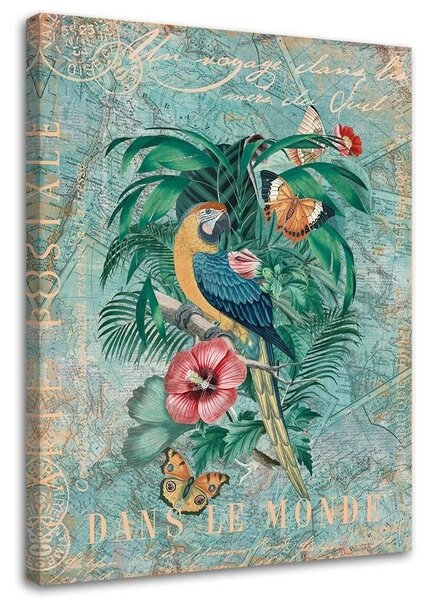 Obraz Papagáj a motýle - Andrea Haase Veľkosť: 40 x 60 cm, Prevedenie: Obraz na plátne