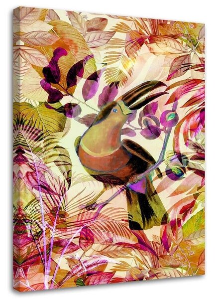 Obraz Tropicky sfarbený tukan - Andrea Haase Veľkosť: 40 x 60 cm, Prevedenie: Obraz na plátne