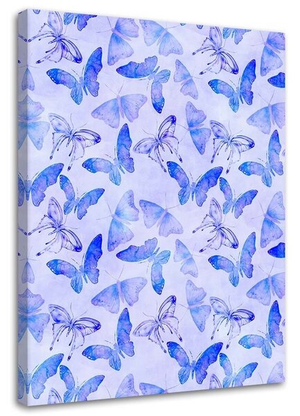 Obraz Modré motýle - Andrea Haase Veľkosť: 40 x 60 cm, Prevedenie: Obraz na plátne