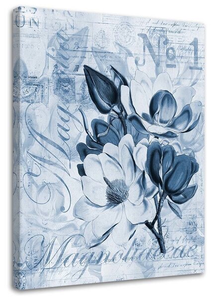 Obraz Magnólie na modrom pergamene - Andrea Haase Veľkosť: 60 x 90 cm, Prevedenie: Obraz na plátne