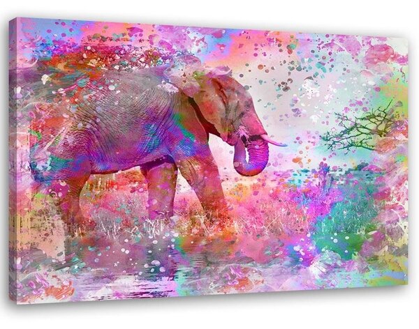 Obraz Farebný slon - Andrea Haase Veľkosť: 100 x 70 cm, Prevedenie: Obraz na plátne