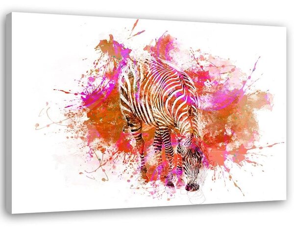 Obraz Farebný akvarel zebry - Andrea Haase Veľkosť: 100 x 70 cm, Prevedenie: Obraz na plátne