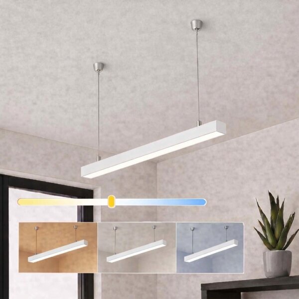 Brilagi - LED závesné svietidlo FULLDAY LED/10/15/20W/230V 2700/4000/6000K 60 cm biela