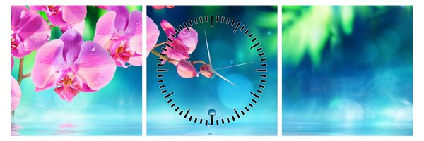 Obraz - Orchidea (s hodinami) (90x30 cm)