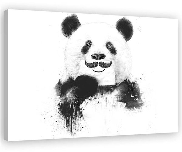Obraz Čiernobiela panda - Rykker Veľkosť: 100 x 70 cm, Prevedenie: Obraz na plátne
