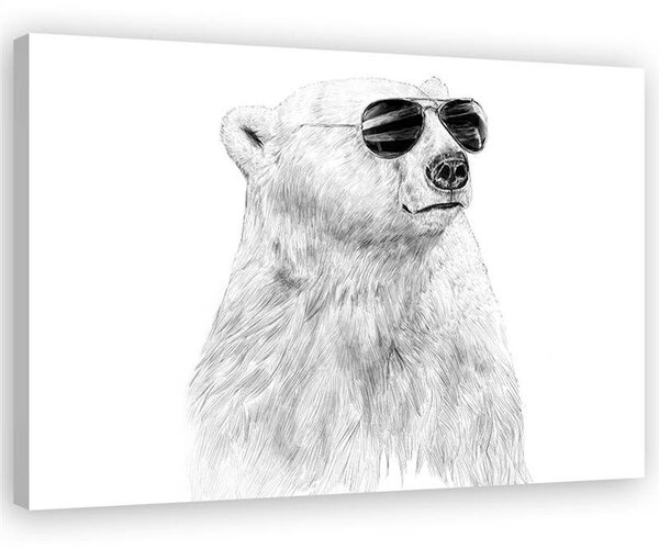 Obraz Čiernobiely medveď s okuliarmi - Rykker Veľkosť: 100 x 70 cm, Prevedenie: Obraz na plátne