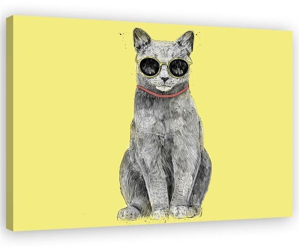 Obraz Mačka s okuliarmi - Rykker Veľkosť: 100 x 70 cm, Prevedenie: Obraz na plátne