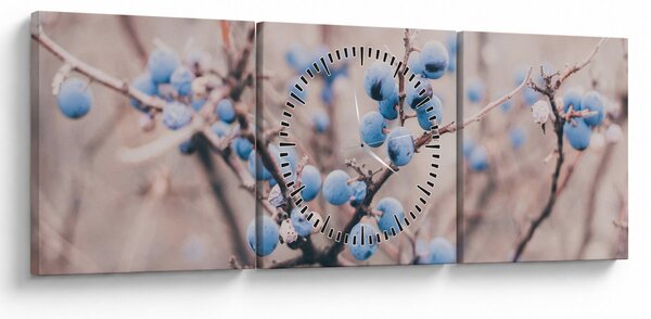 Obraz bobúľ na kríku (s hodinami) (90x30 cm)