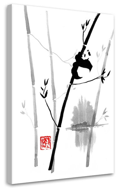 Obraz Panda na bambuse - Péchane Veľkosť: 40 x 60 cm, Prevedenie: Obraz na plátne