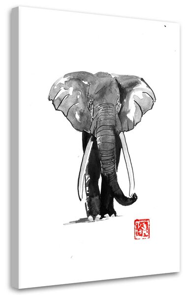 Obraz na plátne Čiernobiely slon - Péchane Rozmery: 40 x 60 cm