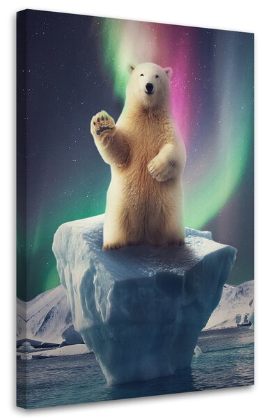 Obraz Šťastný ľadový medveď - Patryk Andrzejewski Veľkosť: 60 x 90 cm, Prevedenie: Obraz na plátne