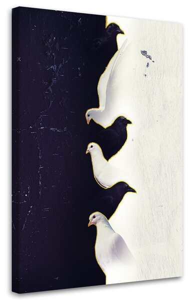 Obraz Tri biele holuby - Patryk Andrzejewski Veľkosť: 40 x 60 cm, Prevedenie: Obraz na plátne