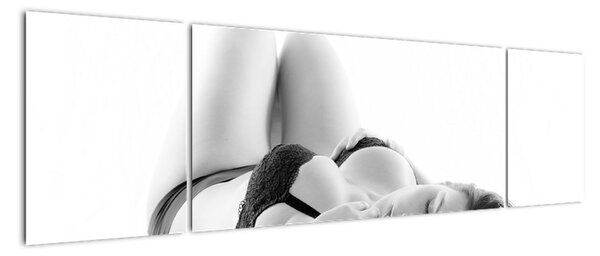 Obrazy nahé ženy (Obraz 170x50cm)