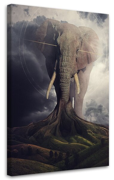 Obraz Zakorenený slon - Patryk Andrzejewski Veľkosť: 70 x 100 cm, Prevedenie: Obraz na plátne