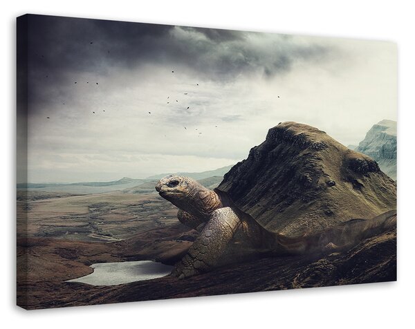 Obraz Obrovská korytnačka v púšti - Patryk Andrzejewski Veľkosť: 100 x 70 cm, Prevedenie: Obraz na plátne