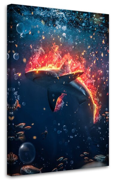 Obraz Horiaci žralok - Alex Griffith Veľkosť: 40 x 60 cm, Prevedenie: Obraz na plátne