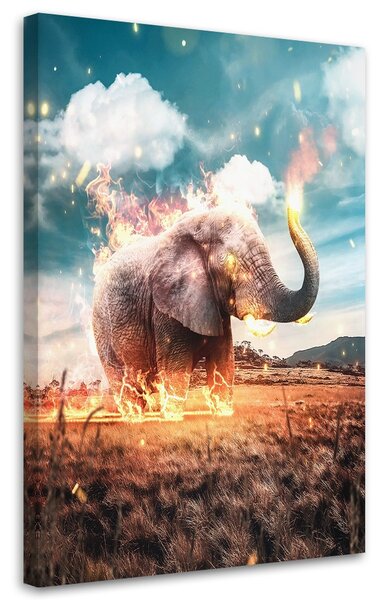 Obraz Slon v plameňoch - Alex Griffith Veľkosť: 60 x 90 cm, Prevedenie: Obraz na plátne