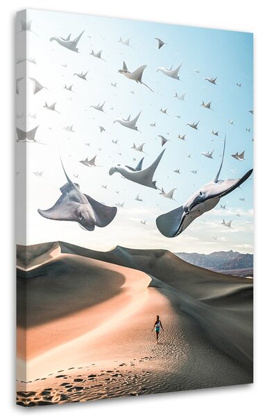 Obraz Lietajúce raje - Alex Griffith Veľkosť: 40 x 60 cm, Prevedenie: Obraz na plátne