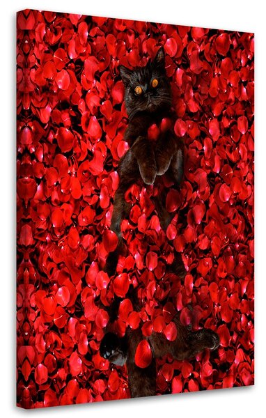 Obraz Mačka Kvety Čierna mačka Ruže Červená - Galina Bugaevskaya Veľkosť: 40 x 60 cm, Prevedenie: Obraz na plátne