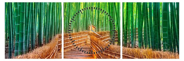Obraz - Japonský bambusový les (s hodinami) (90x30 cm)