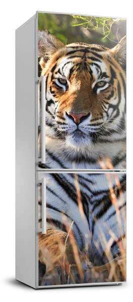 Nálepka fototapeta chladnička Tiger