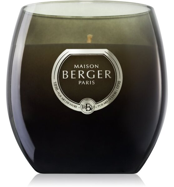 Maison Berger Paris Holly Amber Powder vonná sviečka 200 g