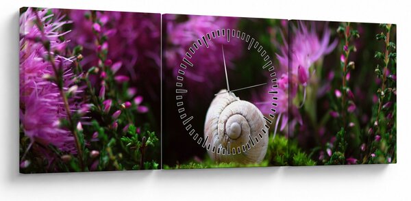 Obraz - Slimáková ulita (s hodinami) (90x30 cm)