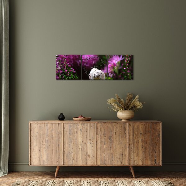 Obraz - Slimáková ulita (s hodinami) (90x30 cm)