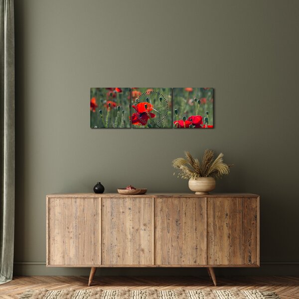 Obraz - Lúka s vlčími makmi (s hodinami) (90x30 cm)