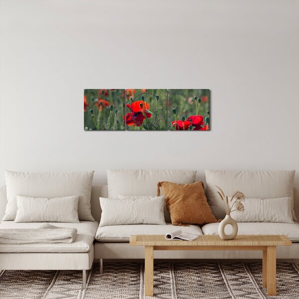 Obraz - Lúka s vlčími makmi (s hodinami) (90x30 cm)