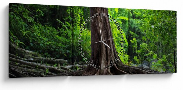 Obraz - Starý strom s koreňmi (s hodinami) (90x30 cm)