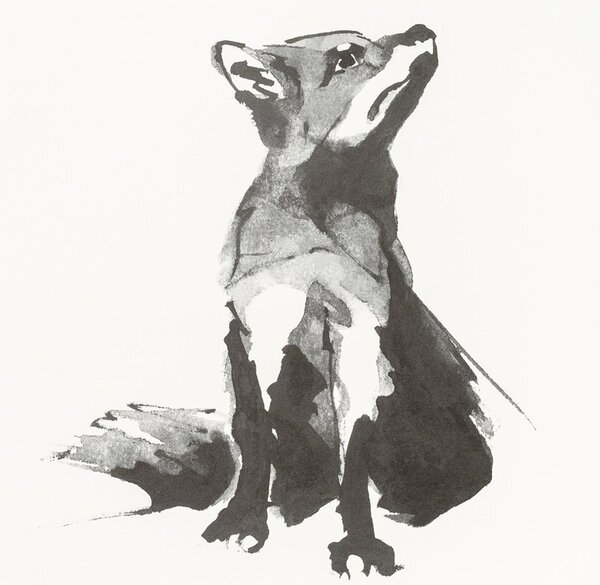Teemu Järvi Plagát s motívom líšky Red Fox 50x70