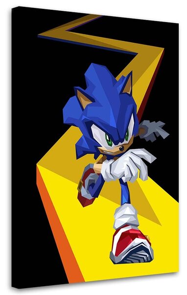 Obraz na plátne Sonic - Nikita Abakumov Rozmery: 40 x 60 cm