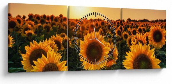 Obraz - Slnečnica (s hodinami) (90x30 cm)