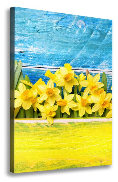 Moderný obraz canvas na ráme Narcisy