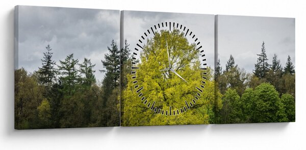 Obraz zeleného stromu uprostred poľa (s hodinami) (90x30 cm)