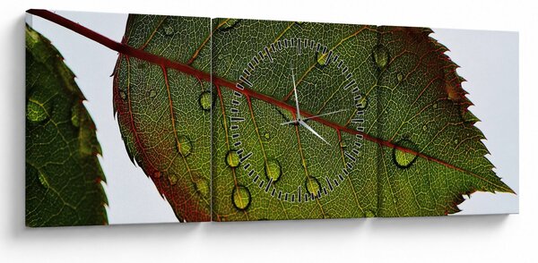 Obraz - List ruže (s hodinami) (90x30 cm)
