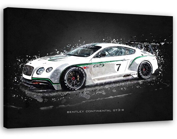 Obraz na plátne Bentley continental gt3r - Gab Fernando Rozmery: 60 x 40 cm