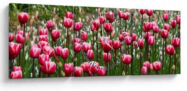 Obraz tulipánov (s hodinami) (90x30 cm)